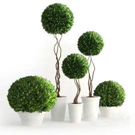 Collection of plants